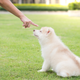 Imagen: Anurak P. / SHutterstock